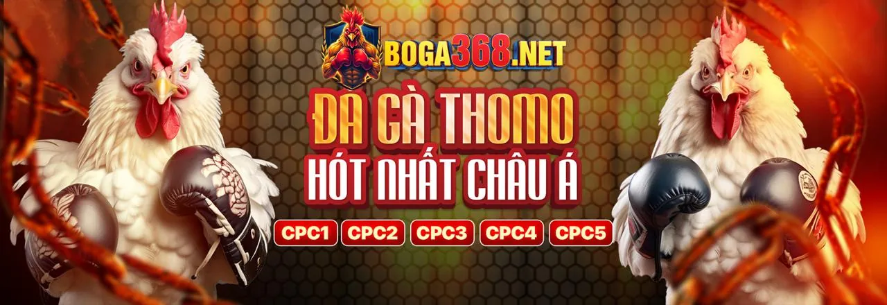 Đội ngũ hỗ trợ tc88 sẵn sàng phục vụ